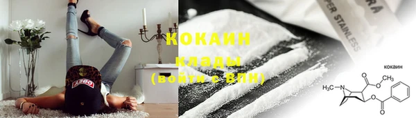 тгк Анива