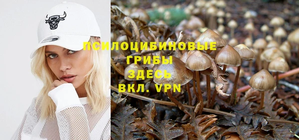 амф Мегион