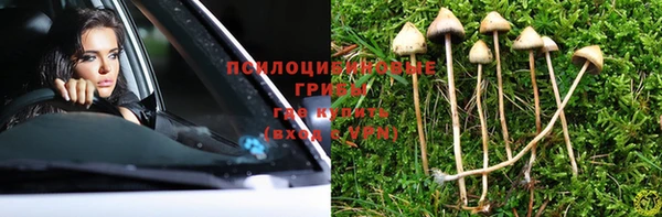 Альфа ПВП Медногорск