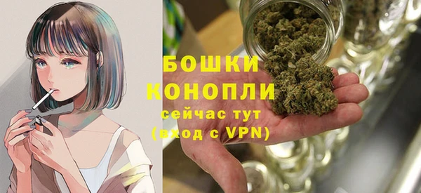 крисы Володарск